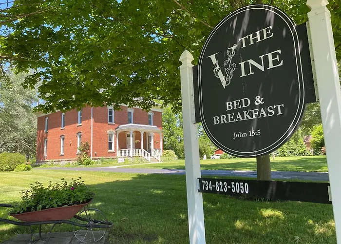 The Vine Bed & Breakfast, Llc